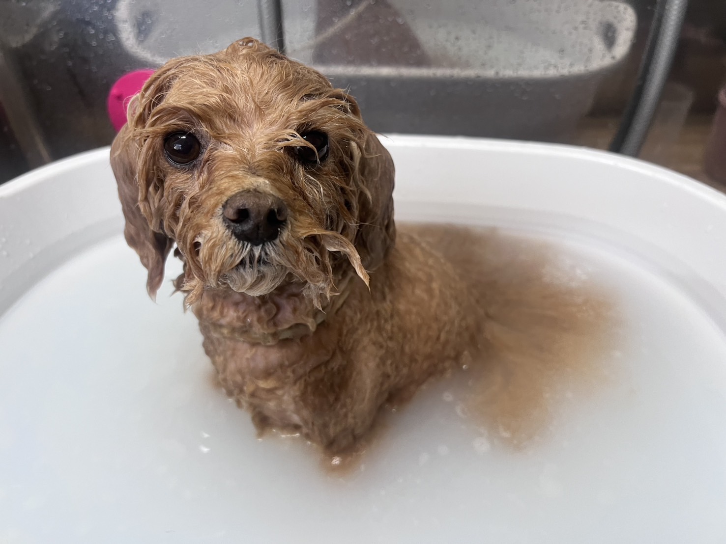 スキンケアコース