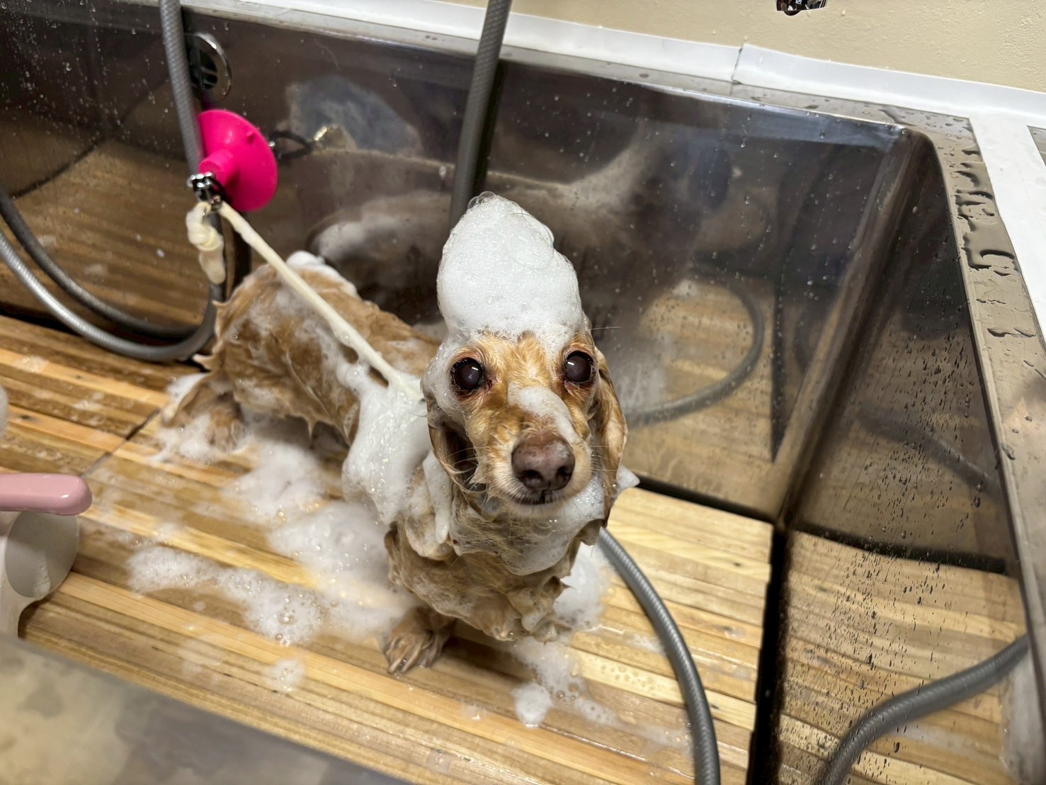 トリートメントコース